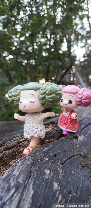 У девчонок пикник в лесу — Куклы Ddung (Дданг): Корейские пупсы (фото 4)