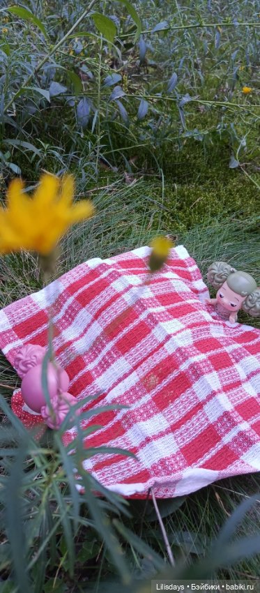 У девчонок пикник в лесу — Куклы Ddung (Дданг): Корейские пупсы (фото 5)