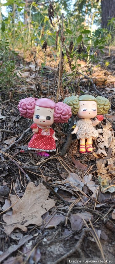У девчонок пикник в лесу — Куклы Ddung (Дданг): Корейские пупсы (фото 2)