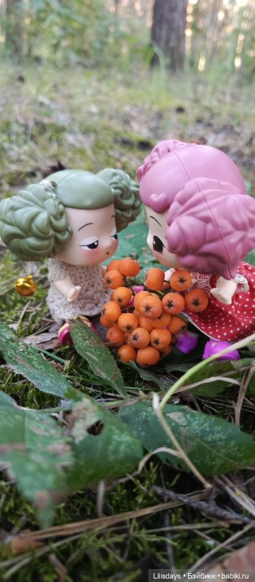 У девчонок пикник в лесу — Куклы Ddung (Дданг): Корейские пупсы (фото 3)