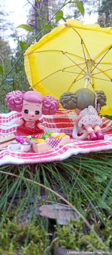 У девчонок пикник в лесу — Куклы Ddung (Дданг): Корейские пупсы (фото 6)