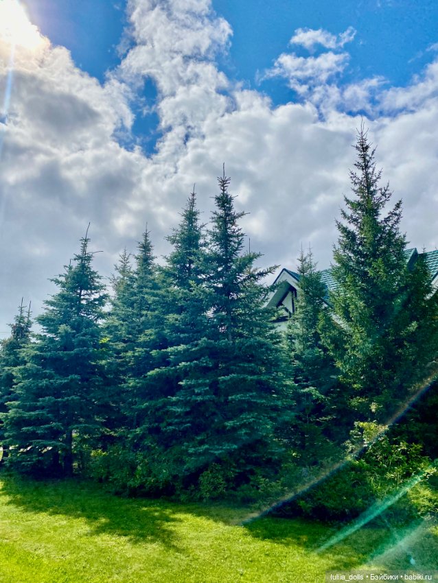 Гуляем с Мики и Мими — Домашние фото авторских кукол: личные коллекции (фото 7)