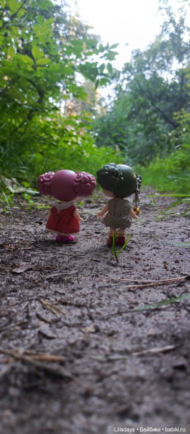 У девчонок пикник в лесу — Куклы Ddung (Дданг): Корейские пупсы