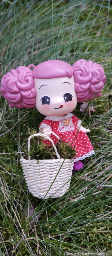 У девчонок пикник в лесу — Куклы Ddung (Дданг): Корейские пупсы (фото 9)