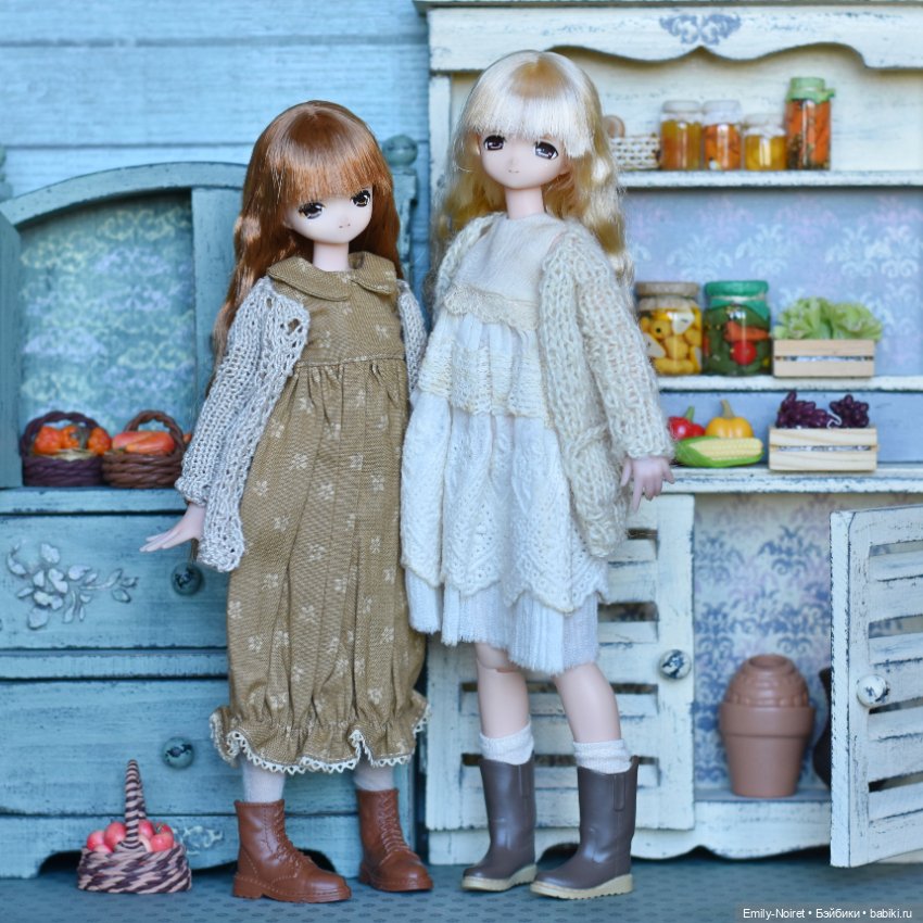 Хина и Хаку — Куклы Azone (Азон) и тела Pure Neemo: фото