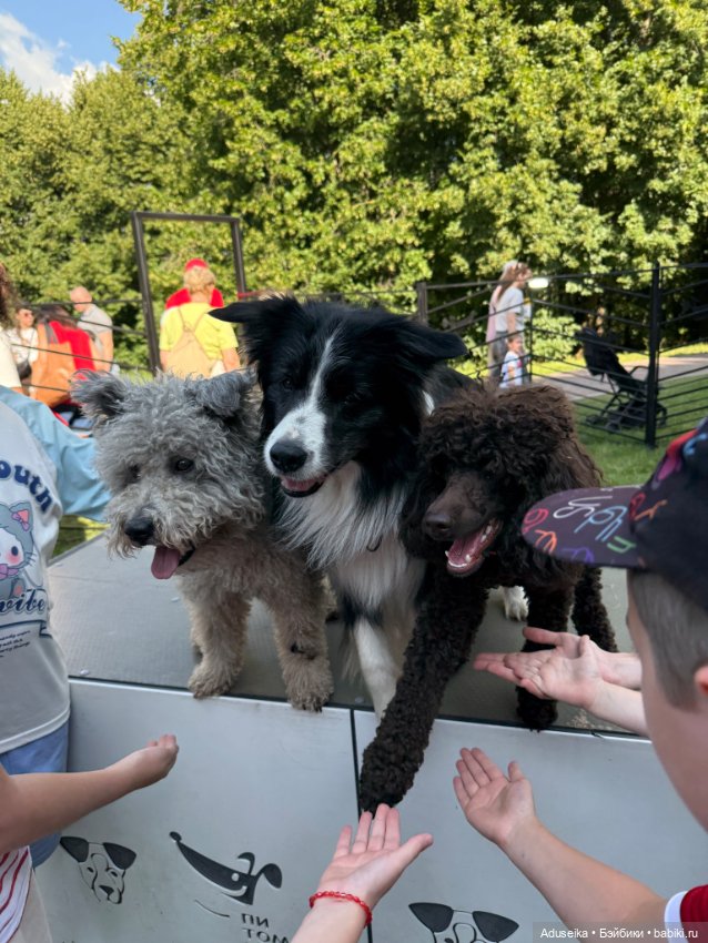 Hanamaki: лето в городе — Другие мини