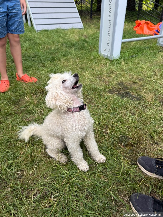 Hanamaki: лето в городе — Другие мини