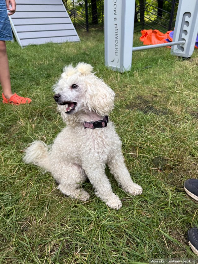 Hanamaki: лето в городе — Другие мини