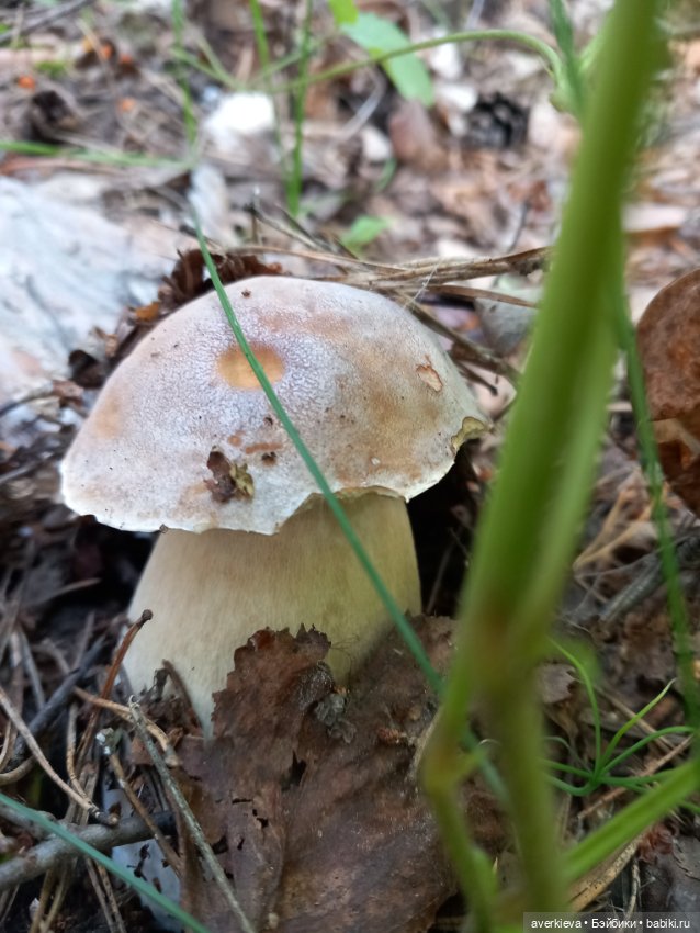 Ни минуты покоя...Воскресенье (фото 3)