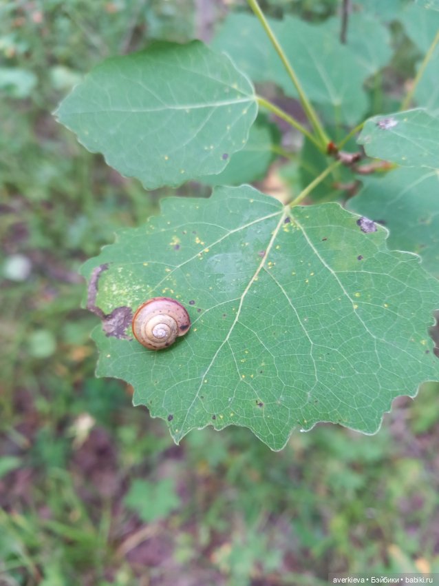 Ни минуты покоя...Воскресенье