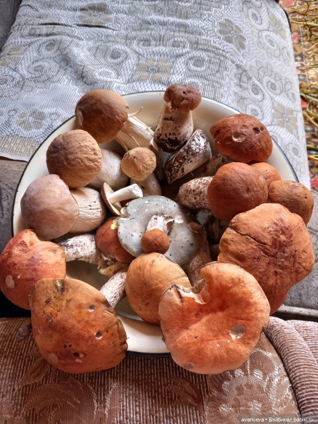 Ни минуты покоя...Воскресенье