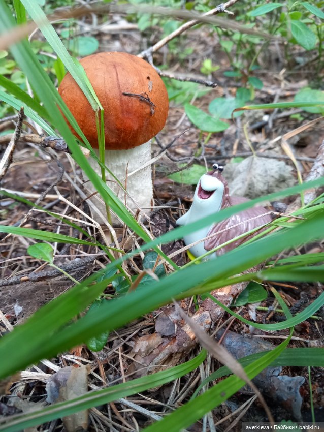 Ни минуты покоя...Воскресенье (фото 4)