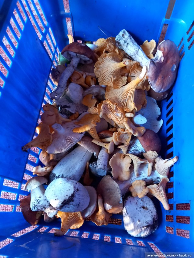 Ни минуты покоя...Воскресенье