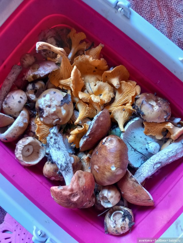 Ни минуты покоя...Воскресенье