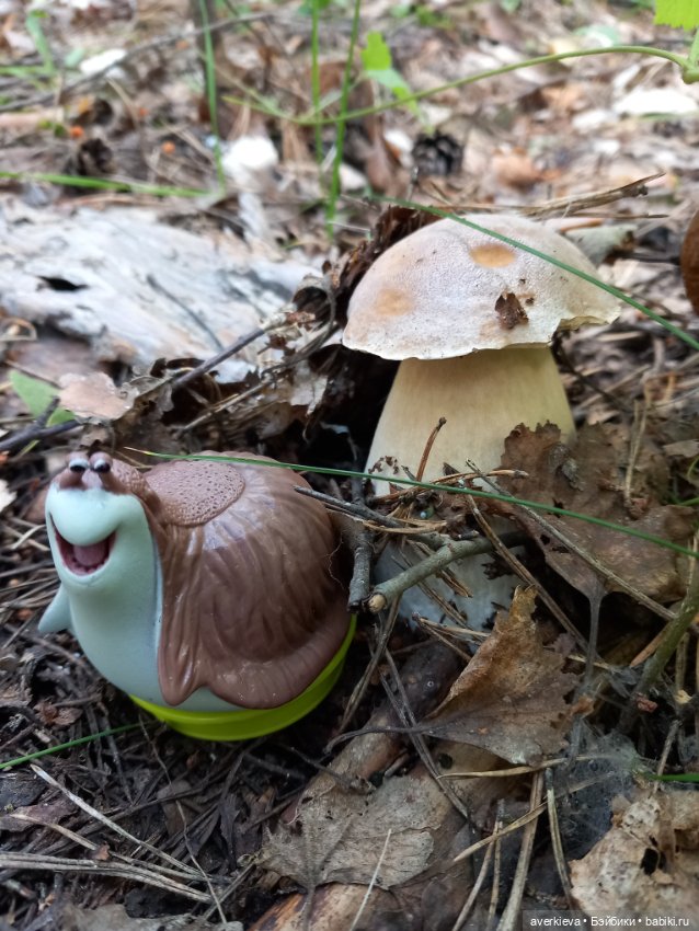 Ни минуты покоя...Воскресенье (фото 2)