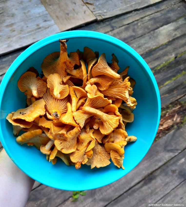 Ни минуты покоя...Воскресенье