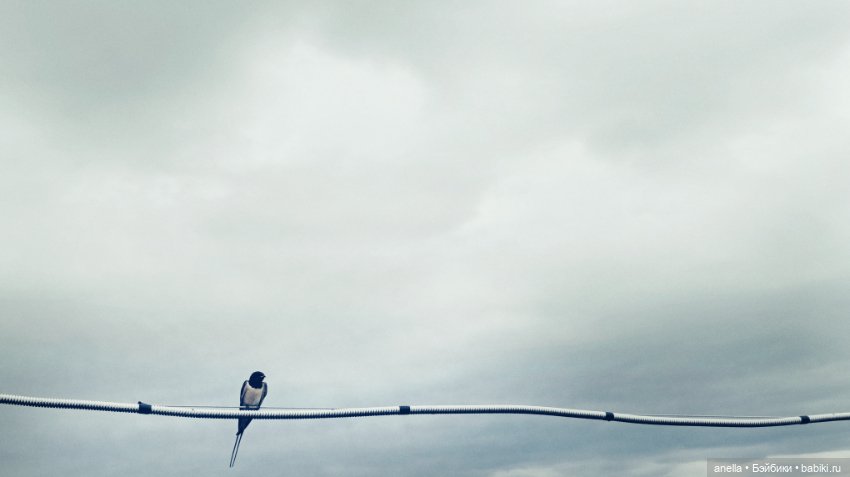 Дик. Гармонист — Экшн