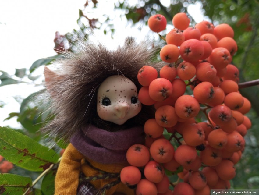 Аука изучает мир — Домашние фото авторских кукол: личные коллекции (фото 7)