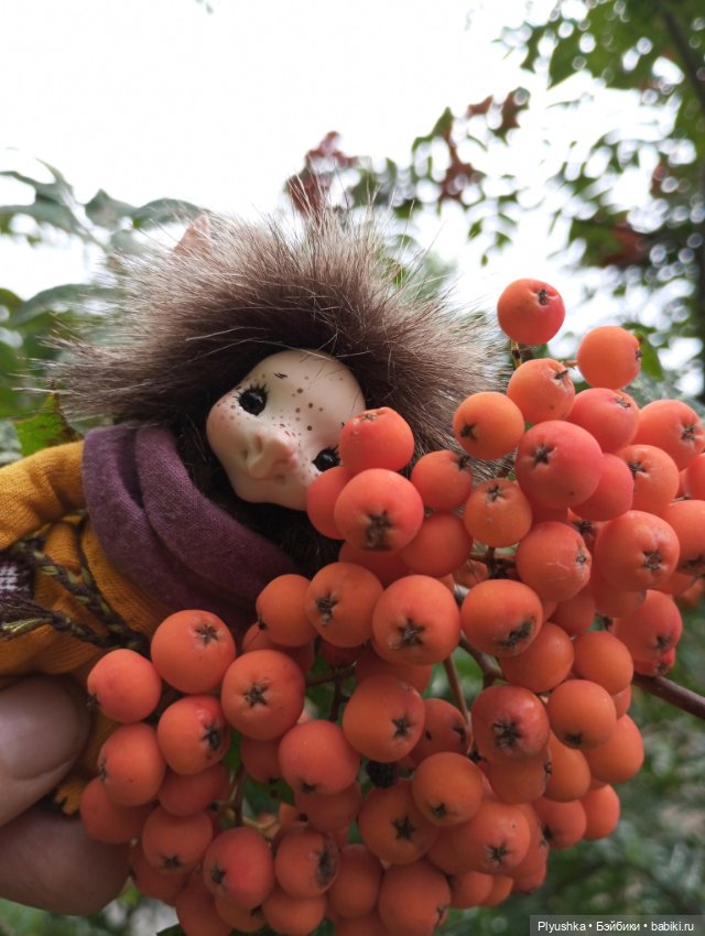 Аука изучает мир — Домашние фото авторских кукол: личные коллекции (фото 9)