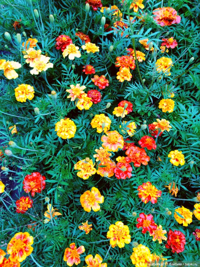 Про Нафочку. Цвет настроения жёлтый (фото 8)