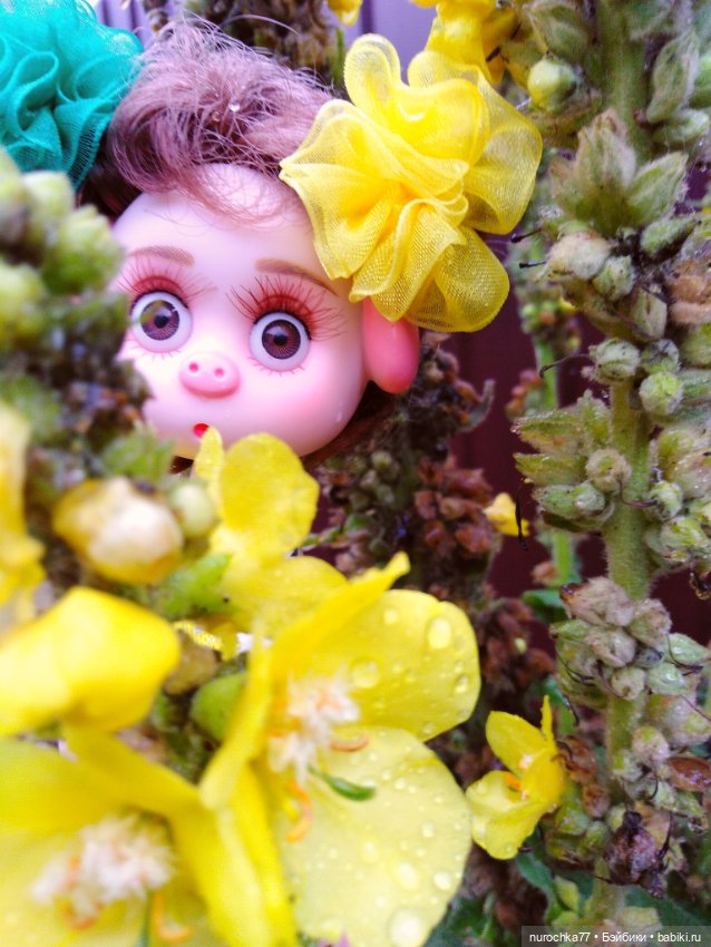 Про Нафочку. Цвет настроения жёлтый (фото 3)