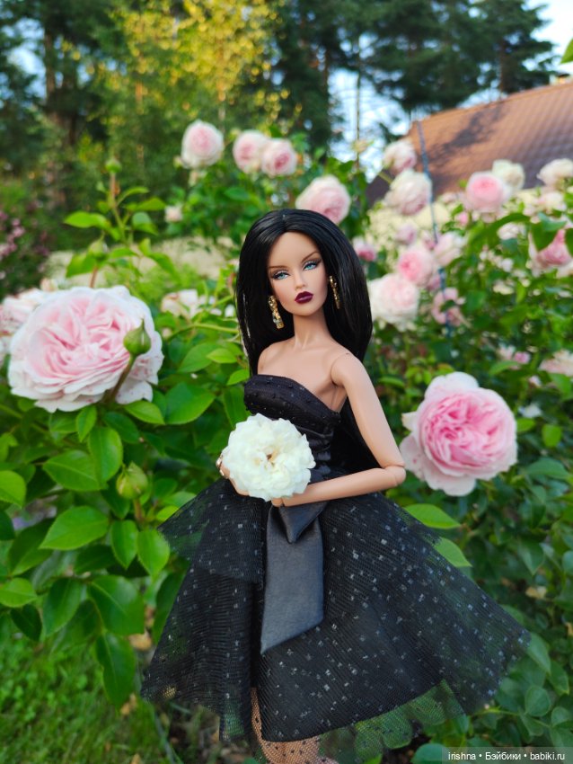 Чёрный лебедь — Фэшн (фото 4)