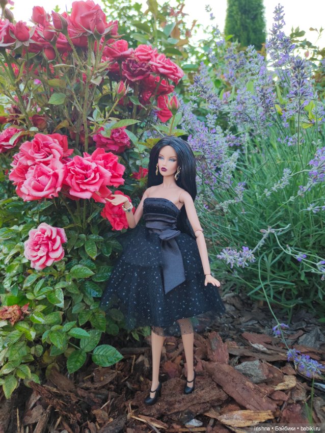 Чёрный лебедь — Фэшн