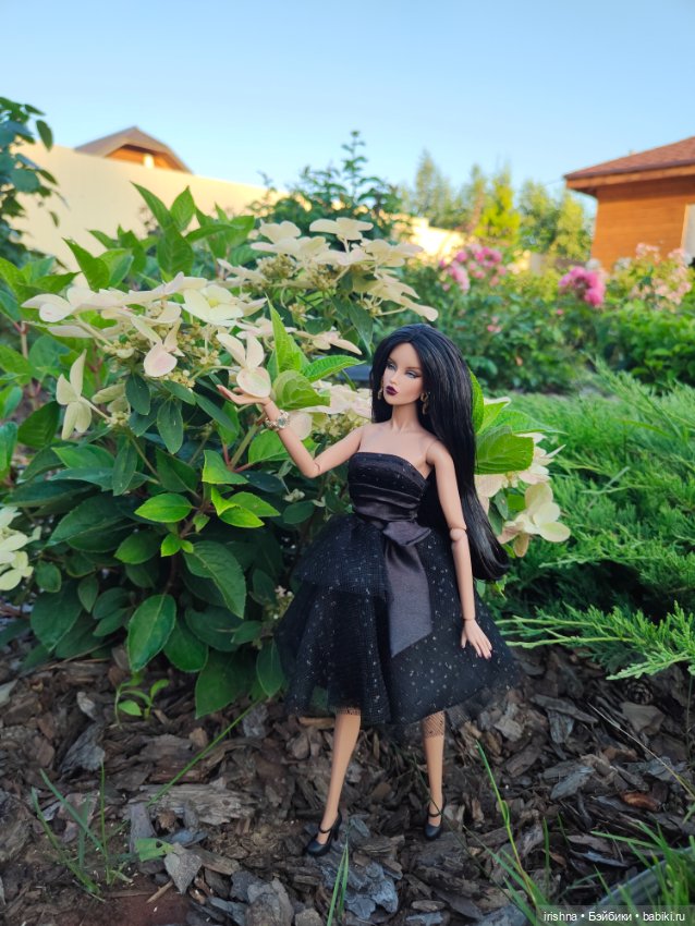 Чёрный лебедь — Фэшн