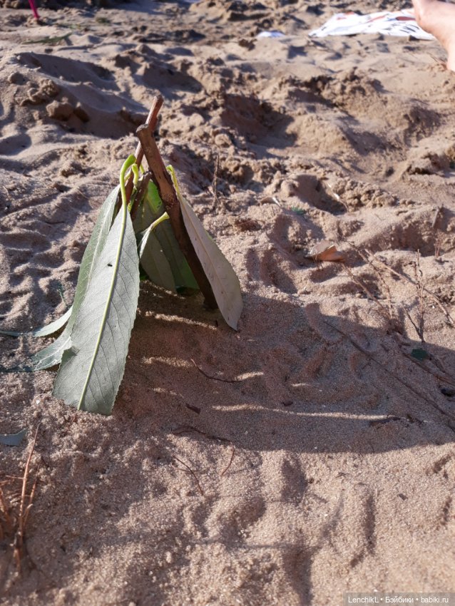 Среднее течение в средней полосе (фото 8)