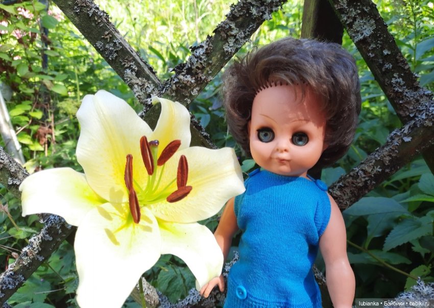 3+2 💙💚🧡🤎💖 — Винтажные куклы ГДР (Немки): Бигги