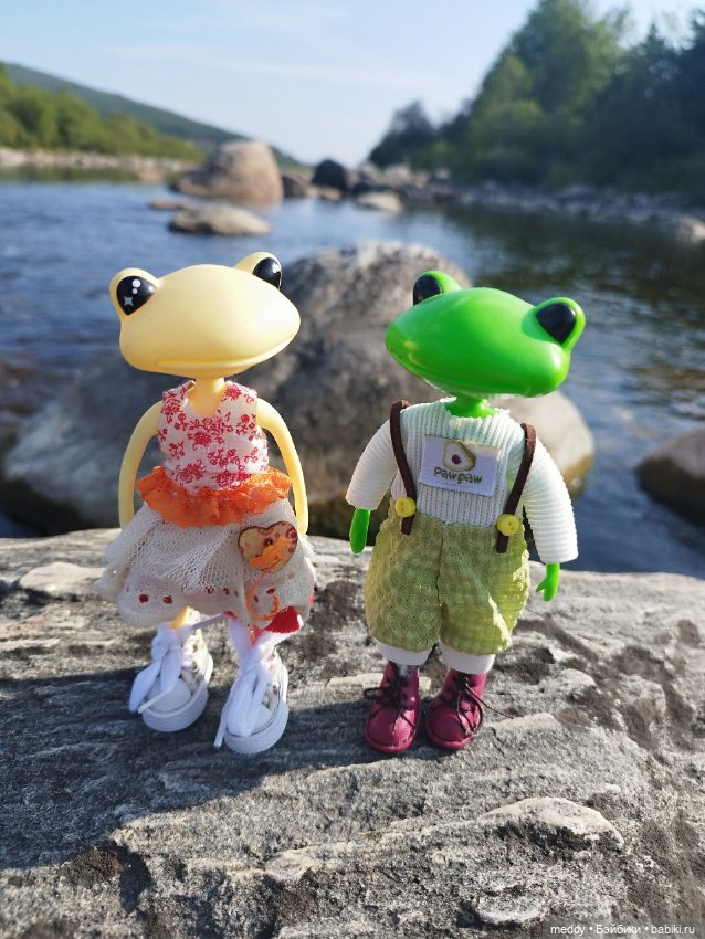 Мои любимые лягухи ( Wonder Frog) Прибавление (фото 5)