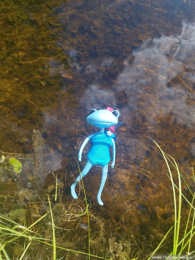 Мои любимые лягухи ( Wonder Frog) Прибавление (фото 10)