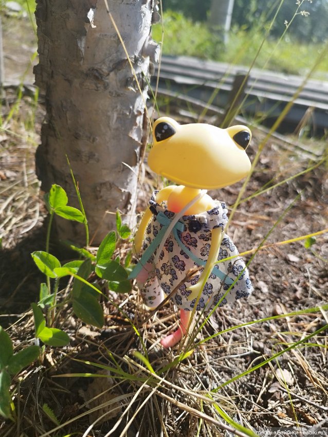 Мои любимые лягухи ( Wonder Frog) Прибавление