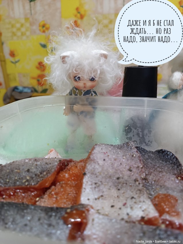 Шеф фон Шницель за работой