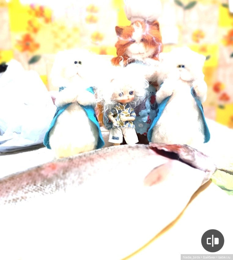 Шеф фон Шницель за работой (фото 8)