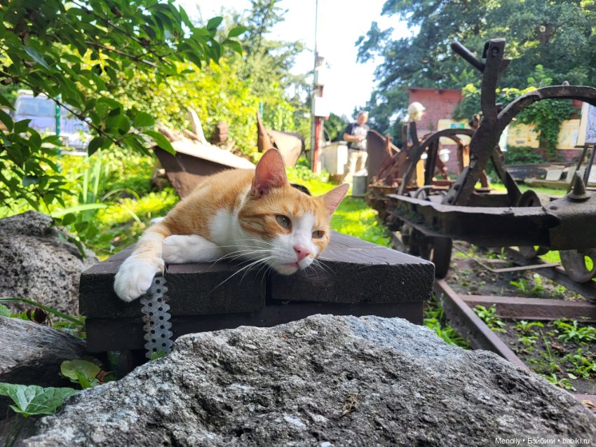 Небо Балтики — Фигурки Pop Mart (Поп Март): Blind Box