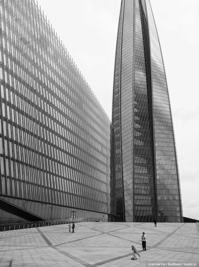 Финский залив впечатлений