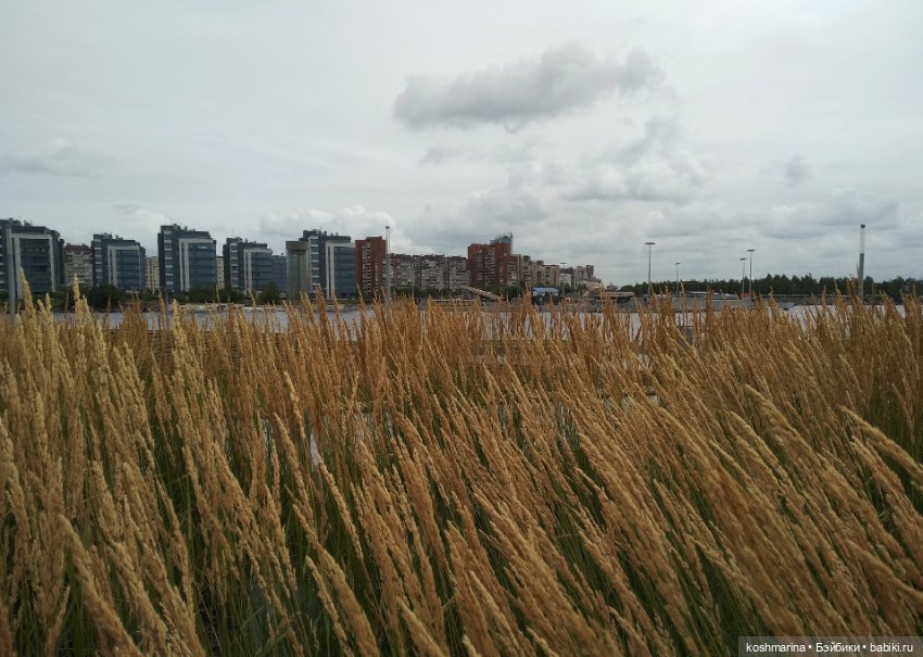 Финский залив впечатлений (фото 7)