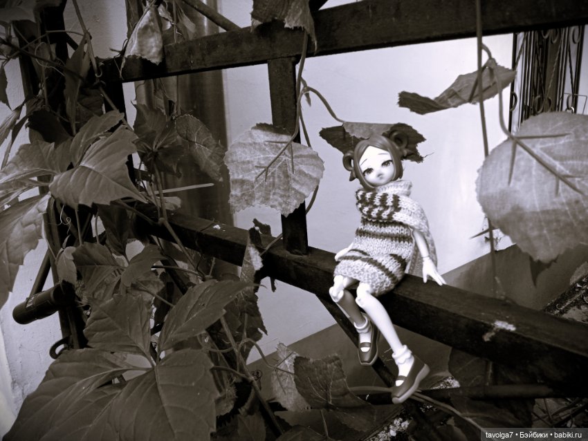 "Август застрянет камнем в сандалии"