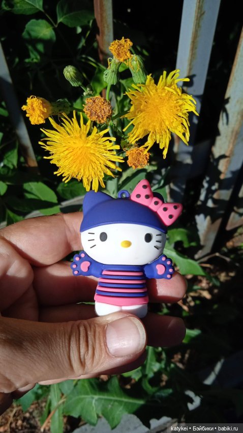 День котиков 2025 — Коллекционные игрушки и фигурки: Lego