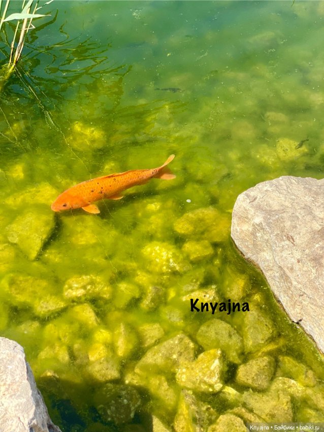 Новый облик Кристи «подружки в пижаме» и ее яркие паолитас (фото 9)