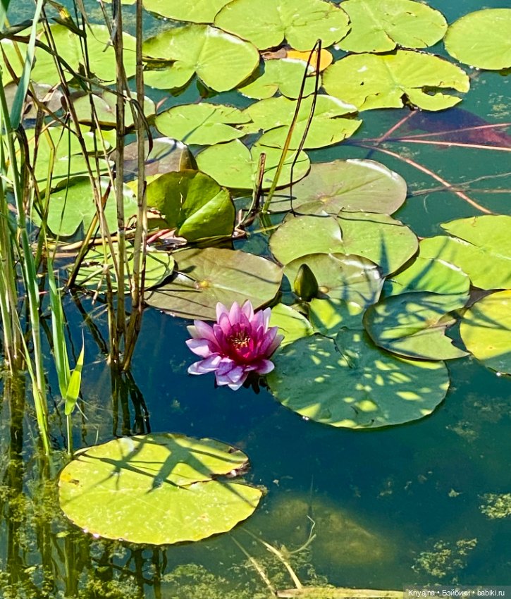 Новый облик Кристи «подружки в пижаме» и ее яркие паолитас