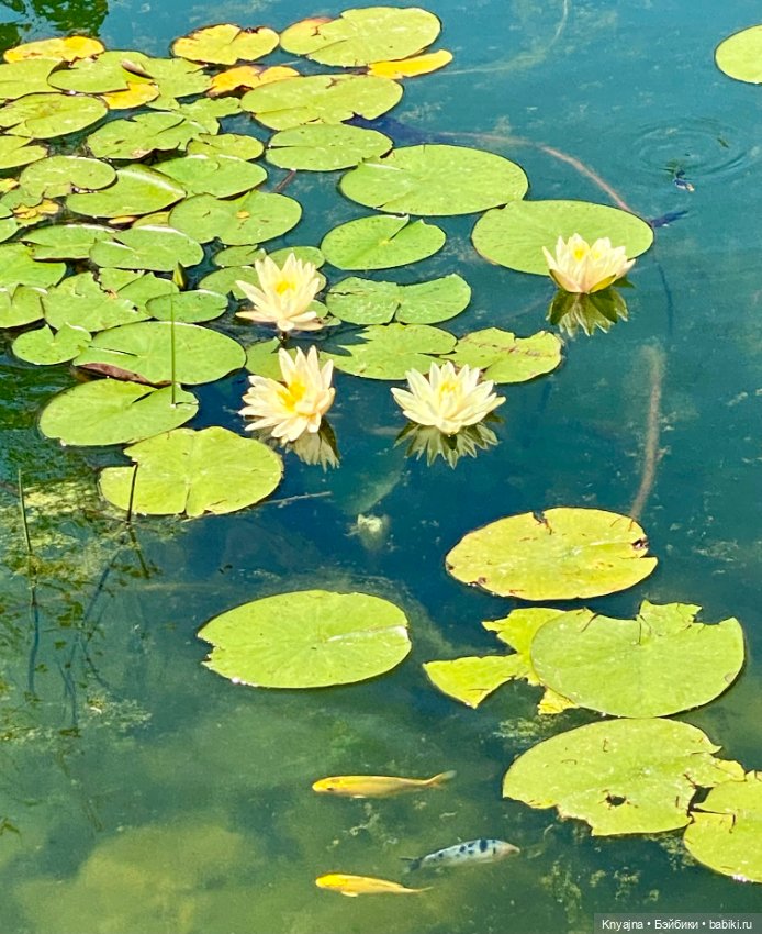Новый облик Кристи «подружки в пижаме» и ее яркие паолитас
