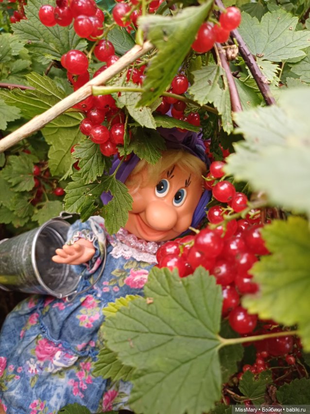 Фаина, Анфиса и... Ягодки (фото 10)