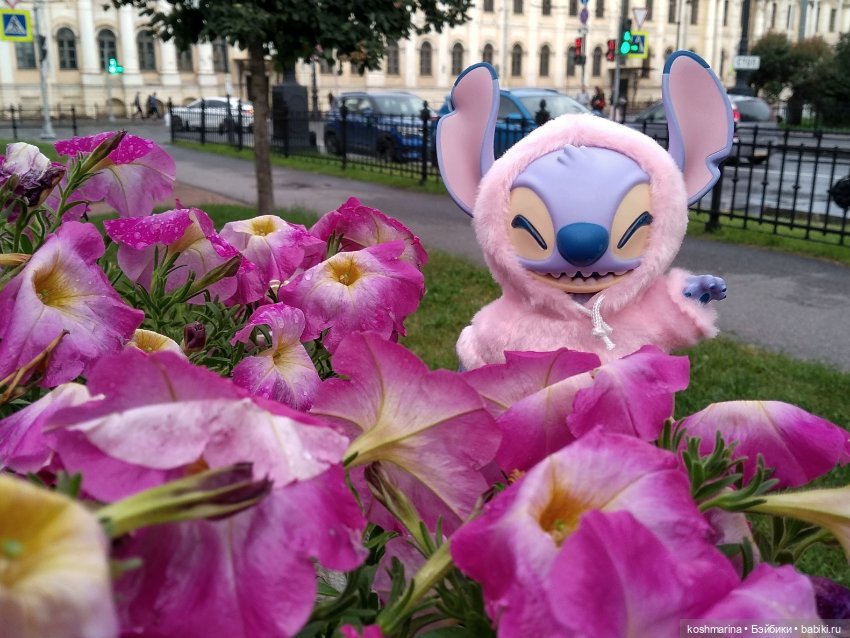 Любовь и стич Алёха — Туризм и путешествия: фотоотчеты из поездок