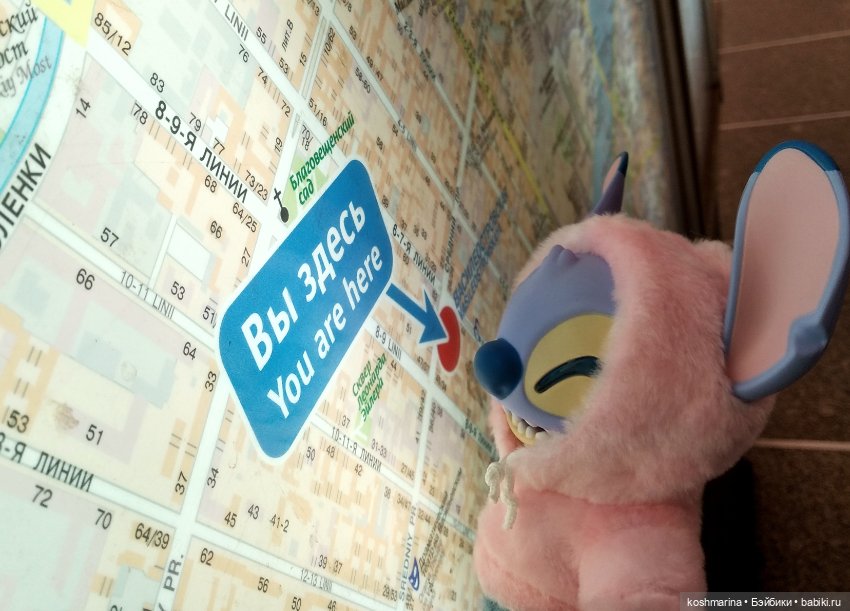 Любовь и стич Алёха — Туризм и путешествия: фотоотчеты из поездок