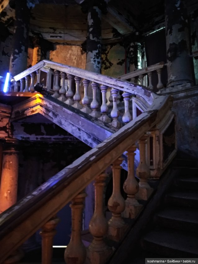 Любовь и стич Алёха — Туризм и путешествия: фотоотчеты из поездок