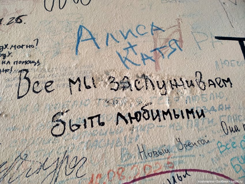 Любовь и стич Алёха — Туризм и путешествия: фотоотчеты из поездок