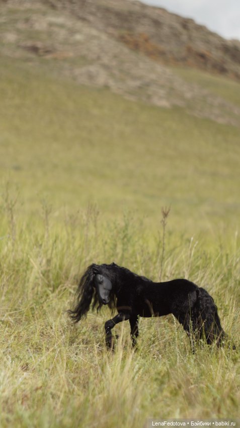 Фризский конь и красавица Дания