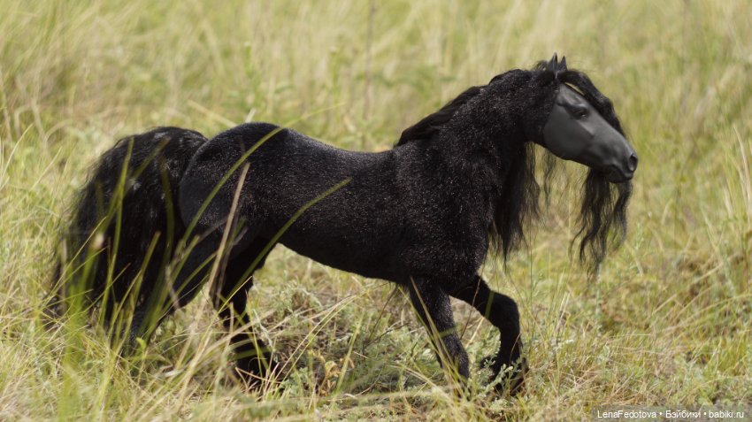 Фризский конь и красавица Дания (фото 8)
